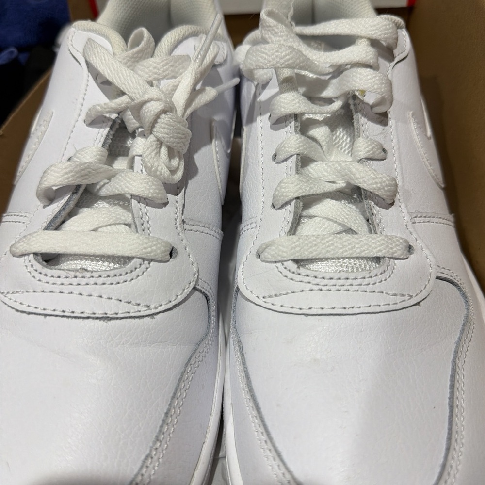 Nike Ebernon Low White/White